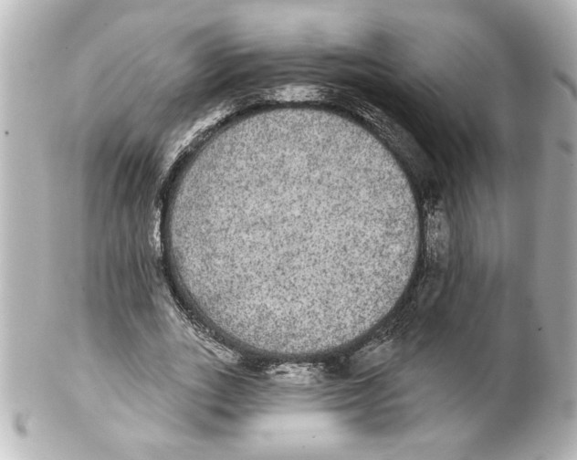 X0000101450727200808041018