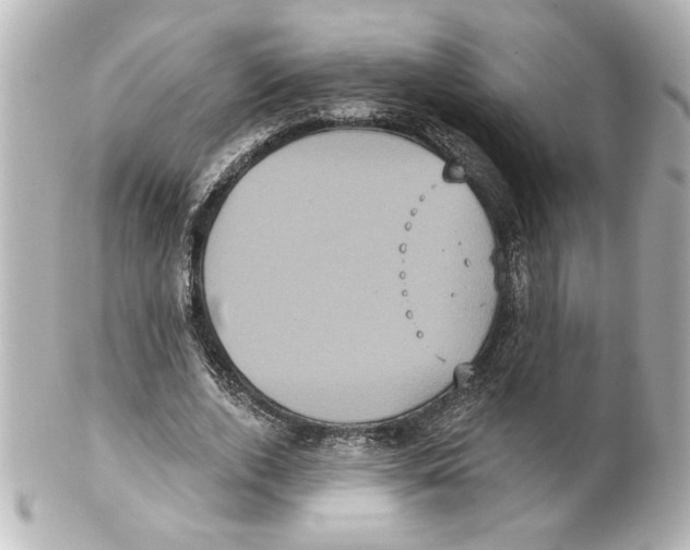 X0000101450728200808041018