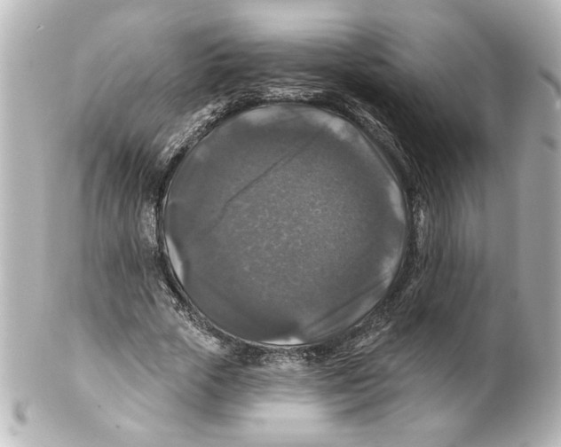 X0000101450729200808041018