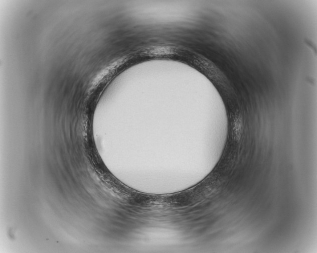 X0000101450732200808041018