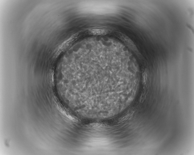 X0000101450733200808041018