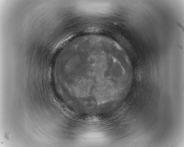 X0000101450735200808041018