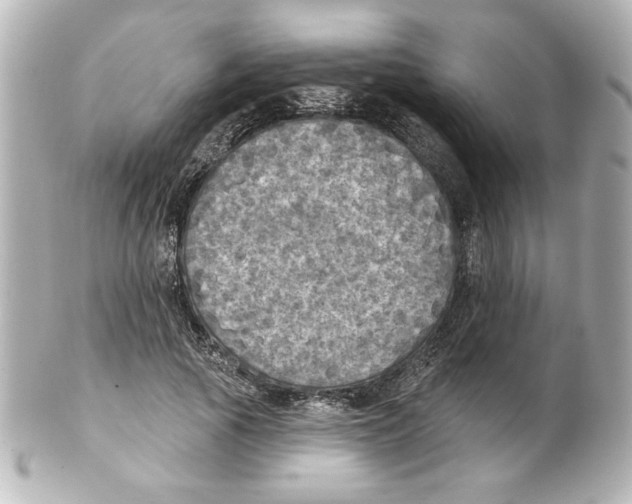 X0000101450737200808041018