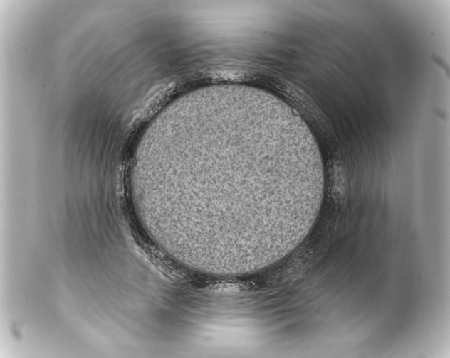 X0000101450738200808041018