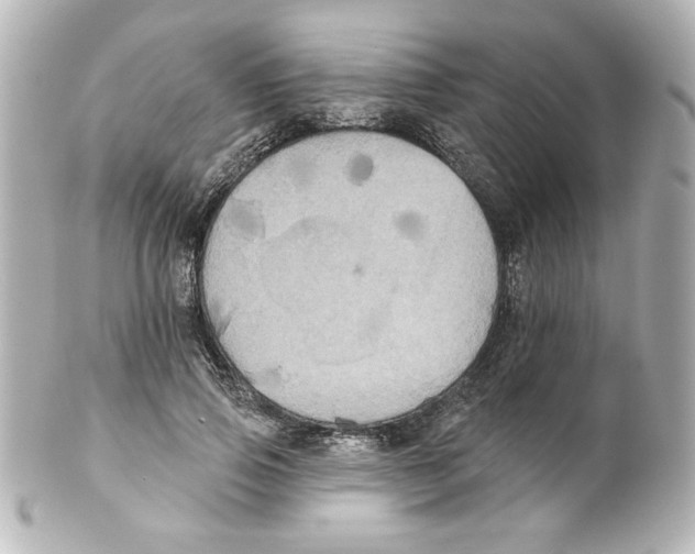 X0000101450741200808041018