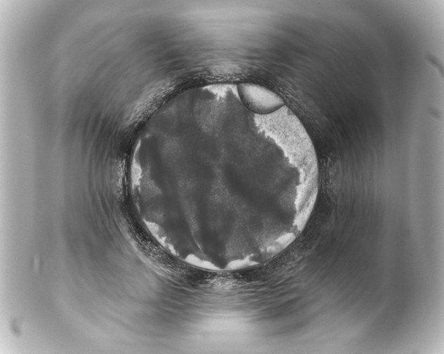 X0000101450742200808041018