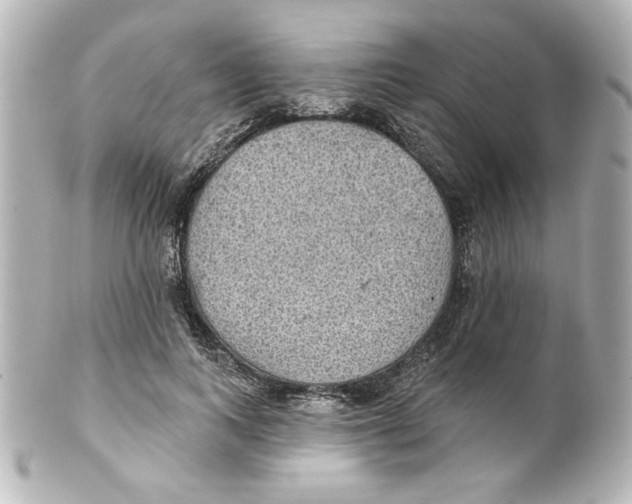 X0000101450743200808041018