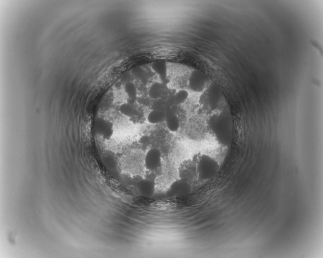 X0000101450745200808041018