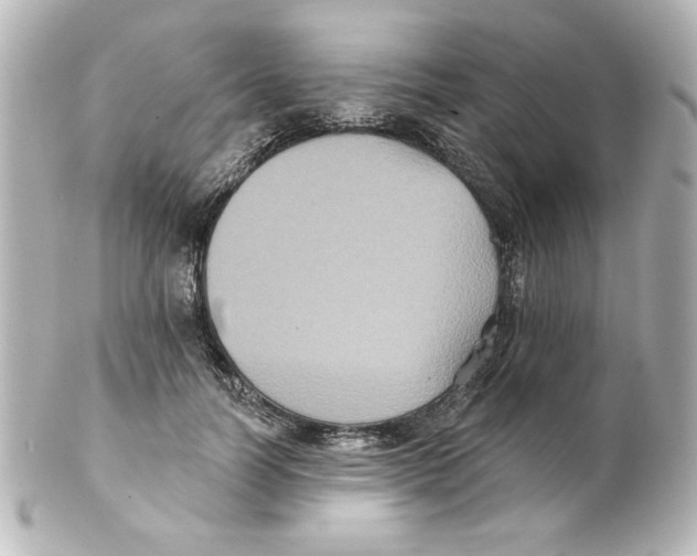 X0000101450746200808041018