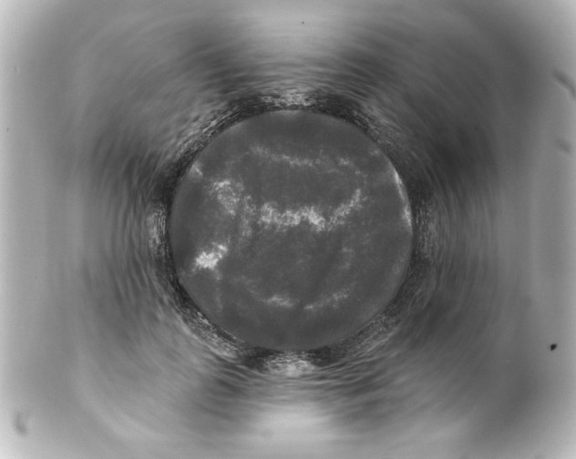 X0000101450747200808041018