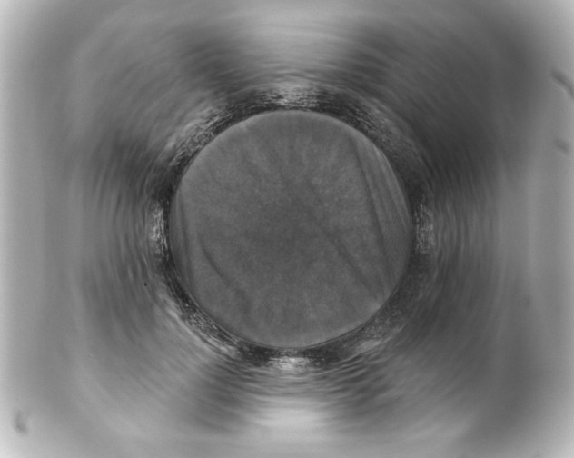 X0000101450748200808041018