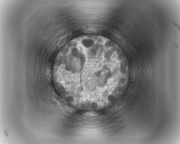 X0000101450749200808041018