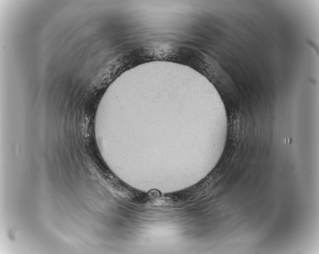 X0000101450750200808041018