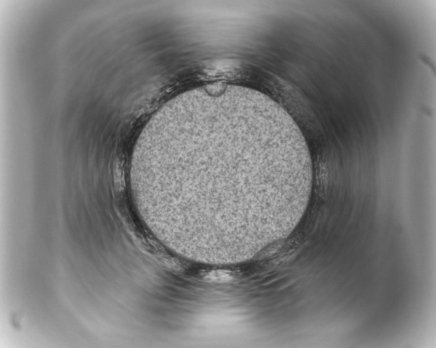 X0000101450751200808041018