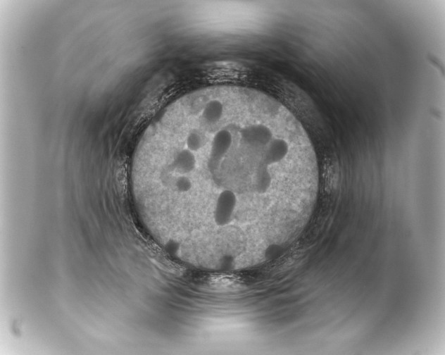 X0000101450753200808041018