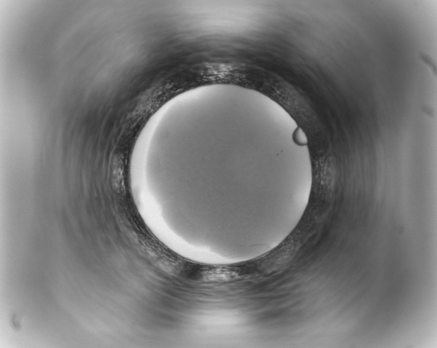 X0000101450754200808041018