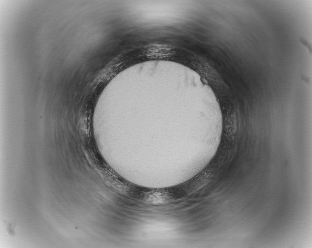 X0000101450755200808041018