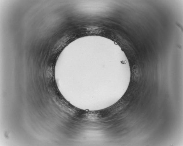 X0000101450756200808041018