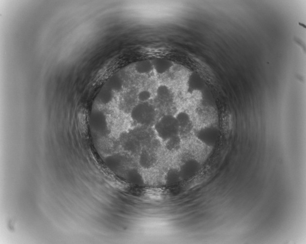 X0000101450757200808041018