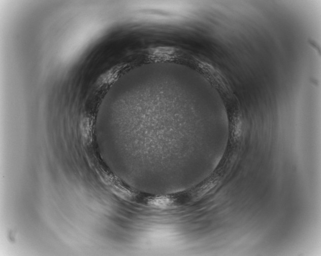 X0000101450759200808041018