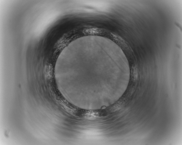 X0000101450760200808041018