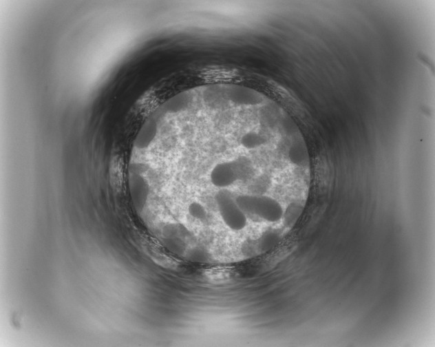 X0000101450761200808041018