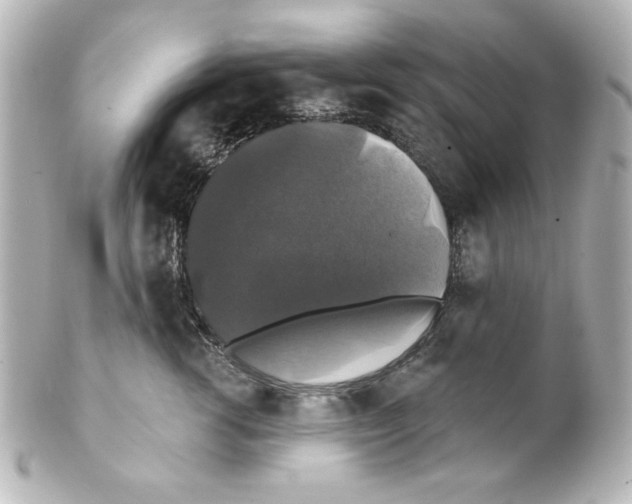 X0000101450762200808041018