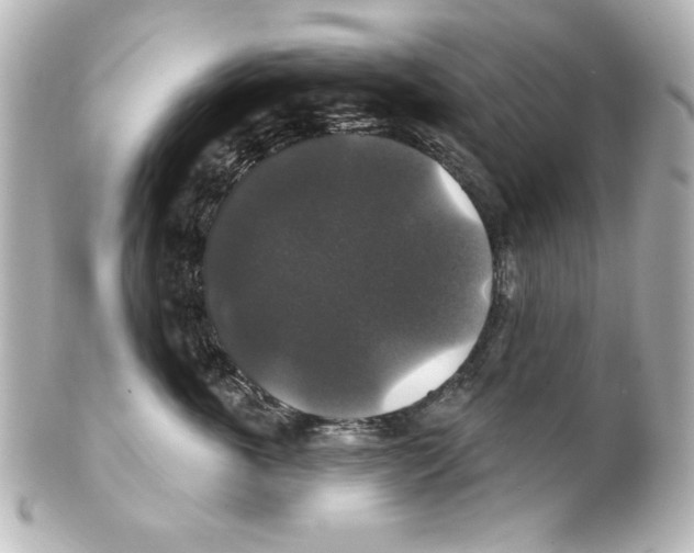 X0000101450763200808041018