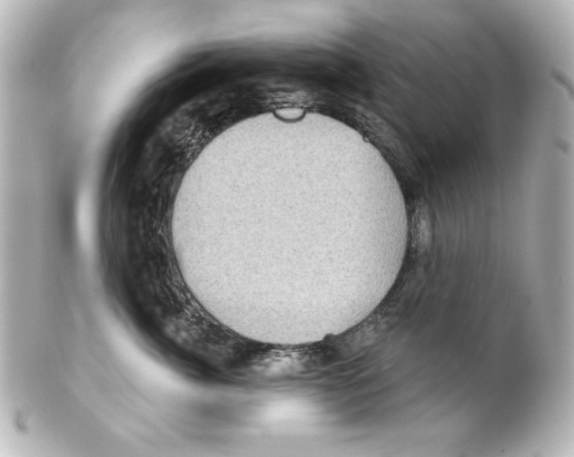 X0000101450764200808041018