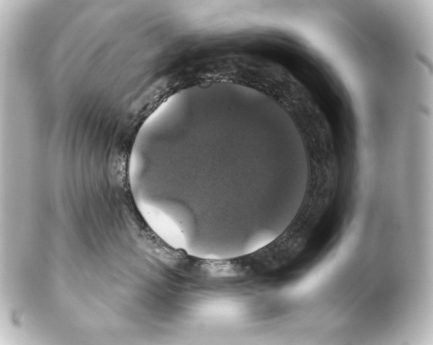 X0000101450767200808041018