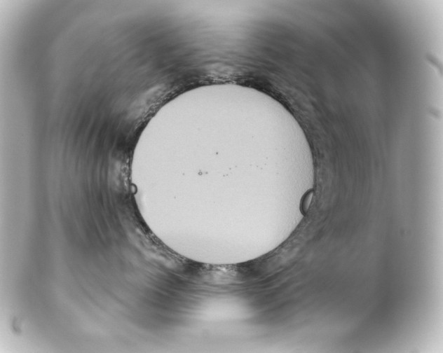 X0000101450768200808041018