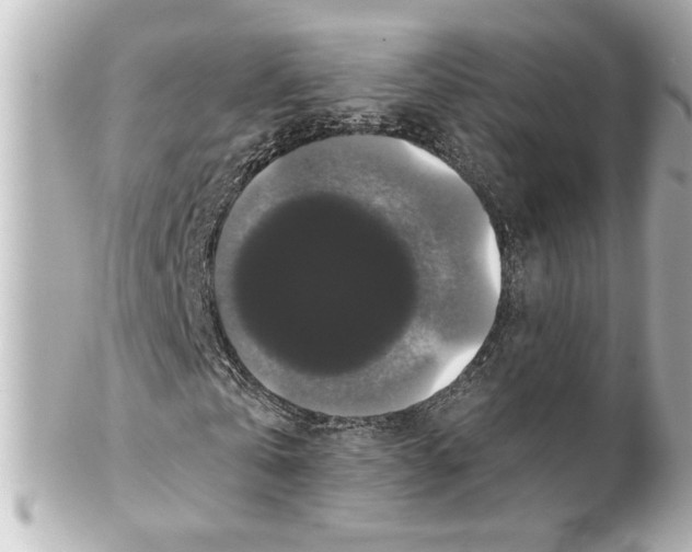 X0000101450769200808041018