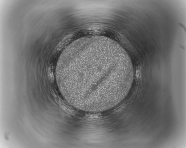 X0000101450771200808041018