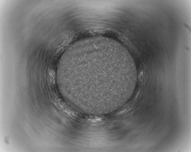 X0000101450772200808041018