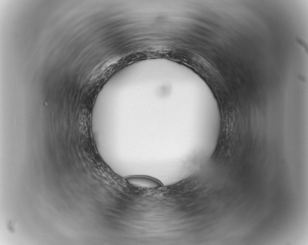 X0000101450773200808041018