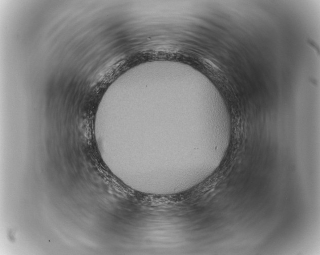 X0000101450774200808041017