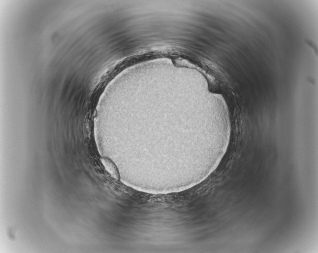 X0000101450776200808041017