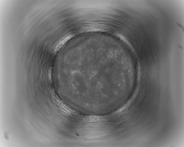 X0000101450777200808041017