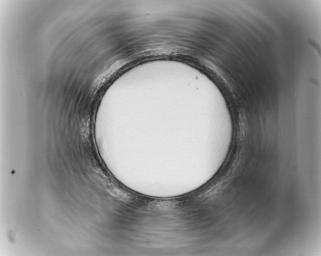 X0000101450778200808041017