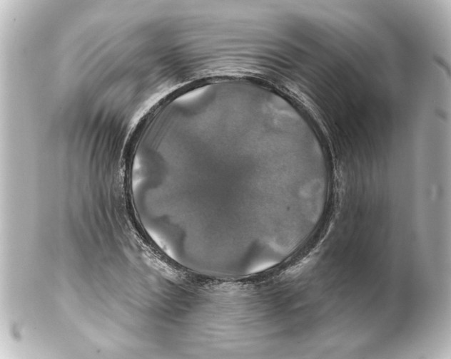 X0000101450779200808041017