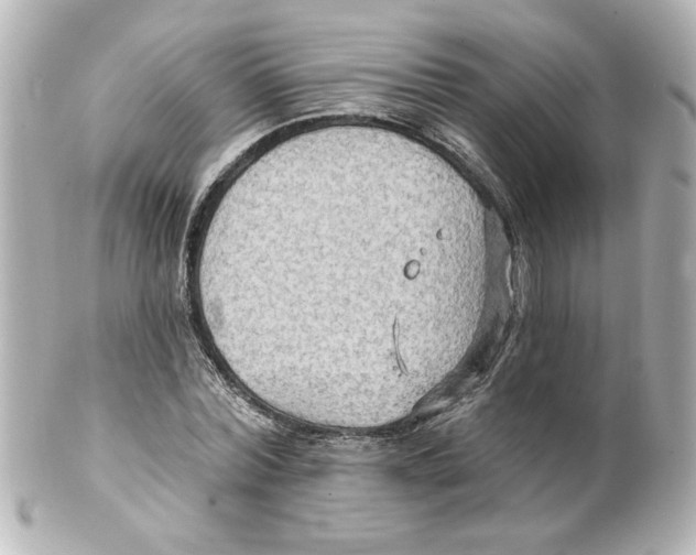 X0000101450780200808041017