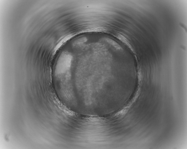 X0000101450781200808041017