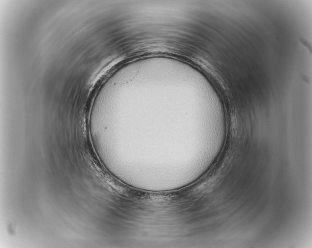 X0000101450782200808041017