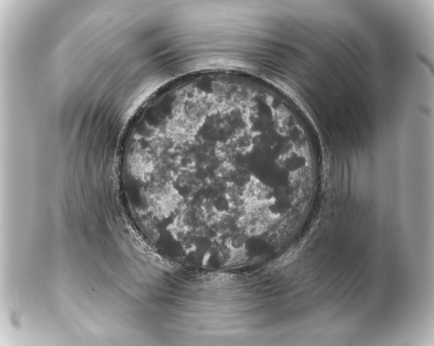 X0000101450783200808041017