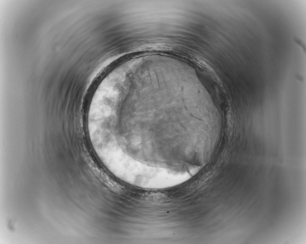 X0000101450784200808041017