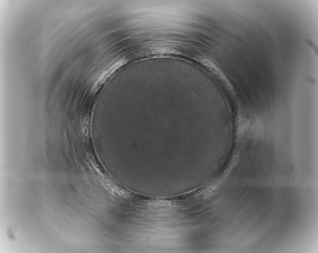 X0000101450785200808041017