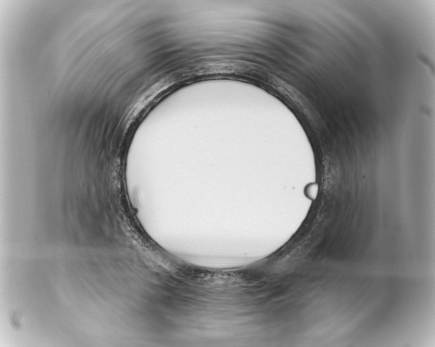 X0000101450786200808041017