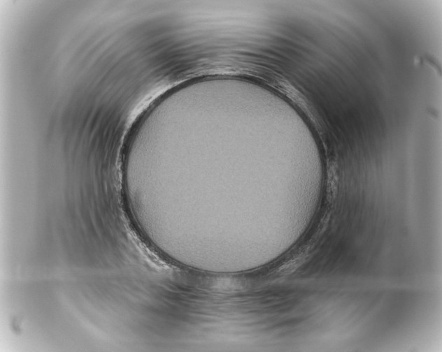 X0000101450787200808041017