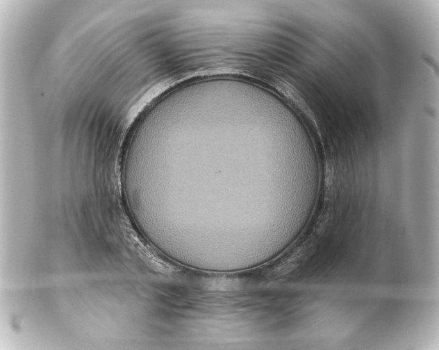 X0000101450789200808041017