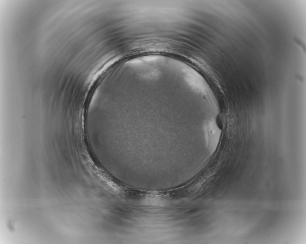 X0000101450790200808041017